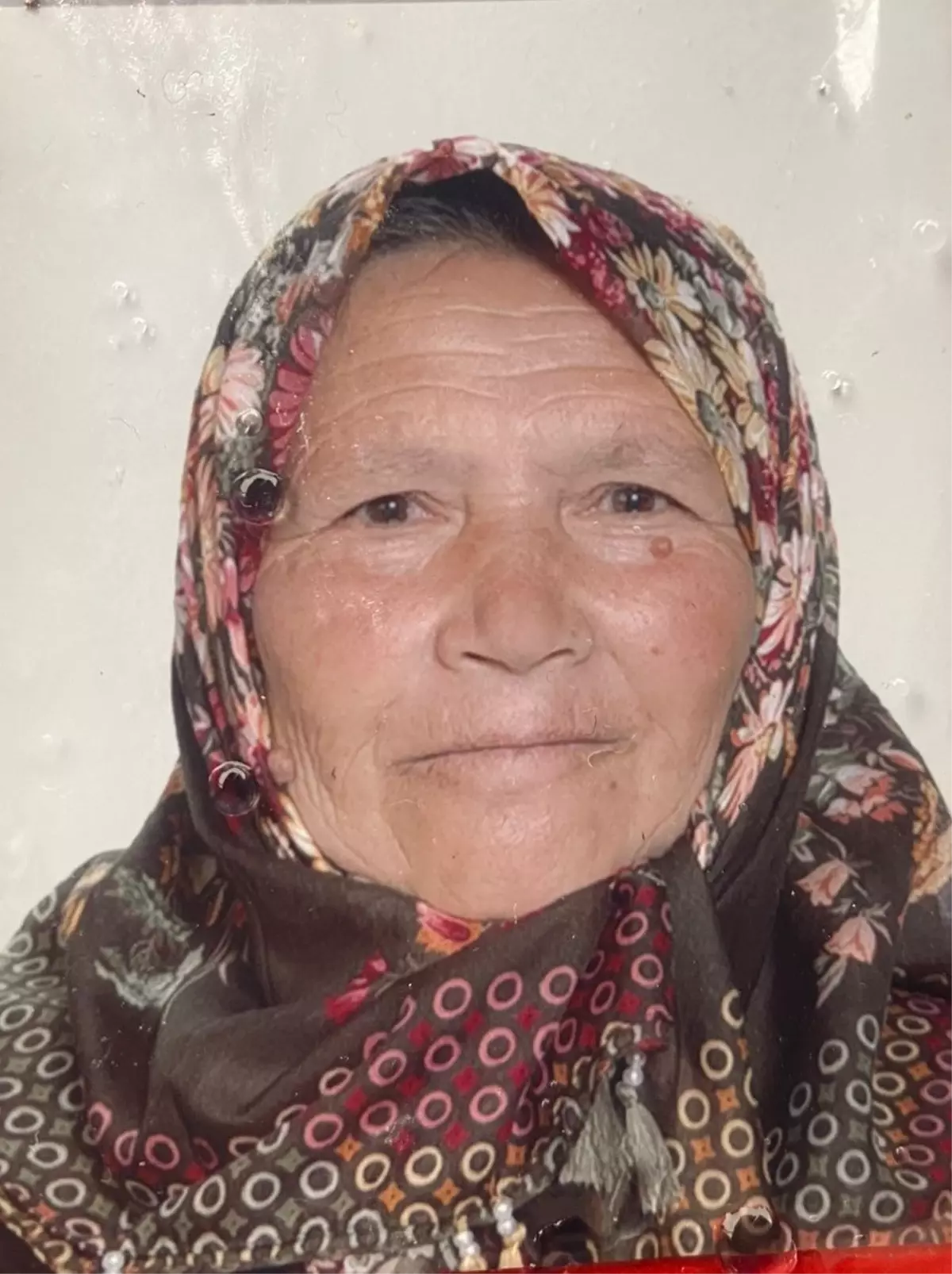 Alzheimer Hastası Kadın Ormanda Ölü Bulundu