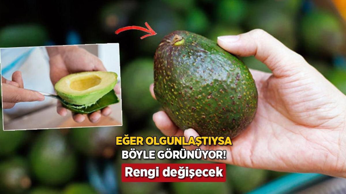 Olgun avokadoyu 10 metre öteden seçeceksiniz! Sapı ele veriyor, hafifçe sıkın